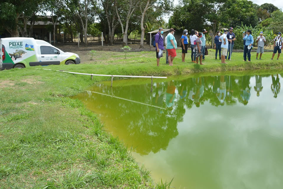 Governo de Rondônia garante a regularidade da oferta de peixes durante o período de defeso