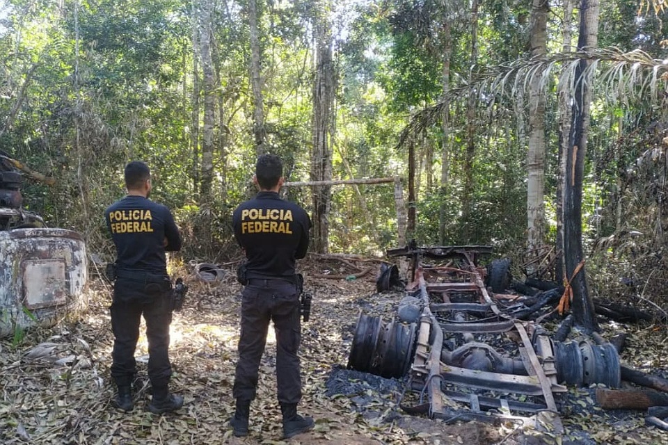PF RO deflagra Operação Obsidium II para combater crimes ambientais em terra indígena 
