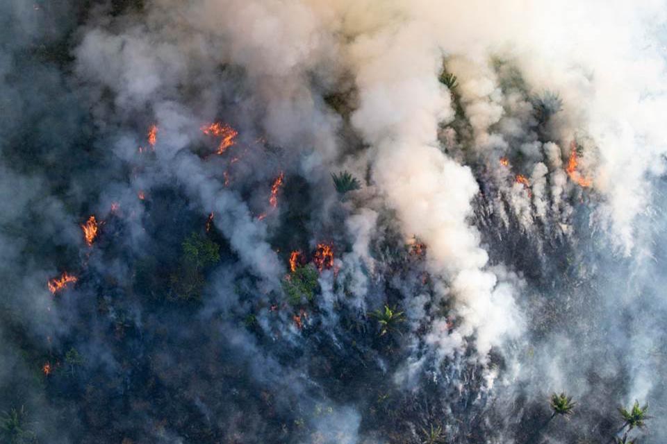 Suspeitos de provocar queimadas na Amazônia são identificados pela polícia do Pará