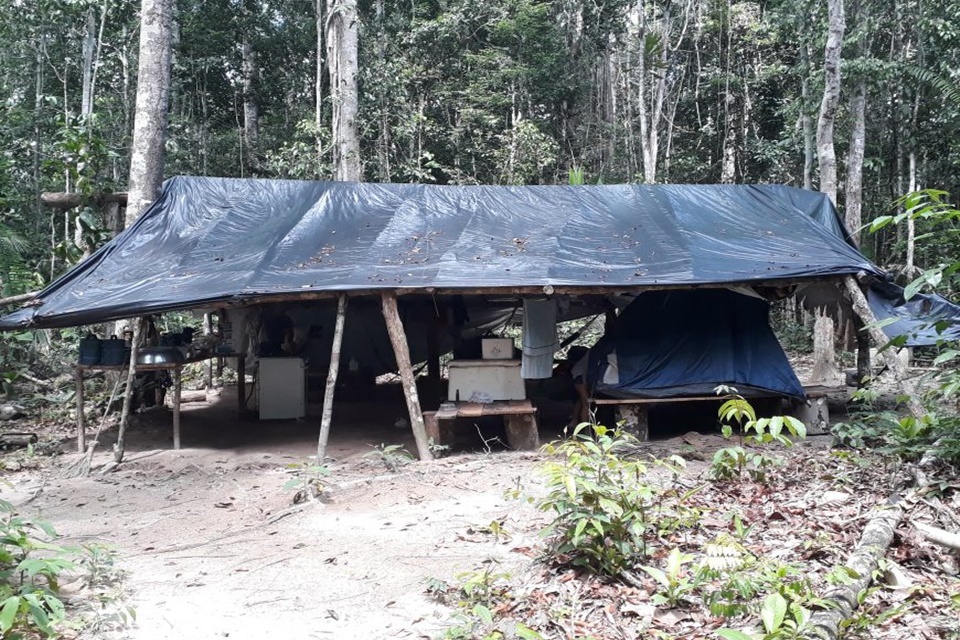 Rondônia registra o primeiro caso de doença de Chagas por transmissão vetorial