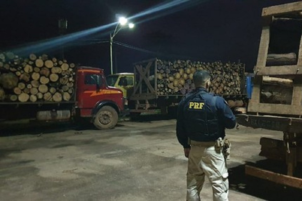 Caminhões que transportavam madeira ilegal são apreendidos pela PRF em Rondônia