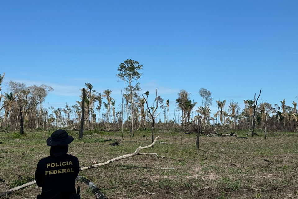 PF realiza operação no Parque Nacional Serra da Cutia em Rondônia