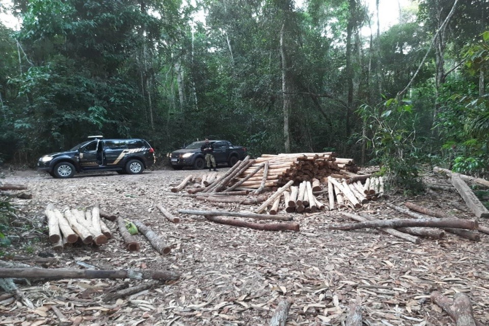 PF em Rondônia deflagra operação para combater crimes ambientais em Terra Indígena no sul do estado
