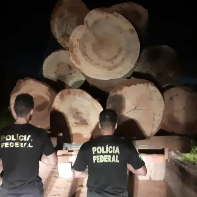 PF prende dois motoristas em ação contra extração ilegal de madeira de terras indigenas