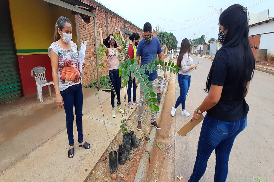 Sema planta 1.276 árvores em 23 ruas no bairro Flamboyant