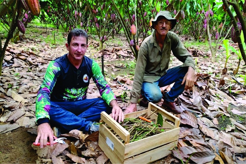 Experiências de agricultores de Rondônia serão aplicadas por meio de projeto em intercâmbio entre Brasil e Colômbia