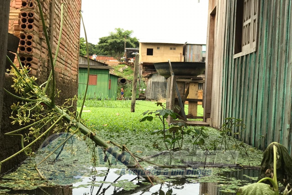 Cheia desabriga mais de 800 em Rondônia, Defesa Civil insiste para que famílias evitem áreas de risco