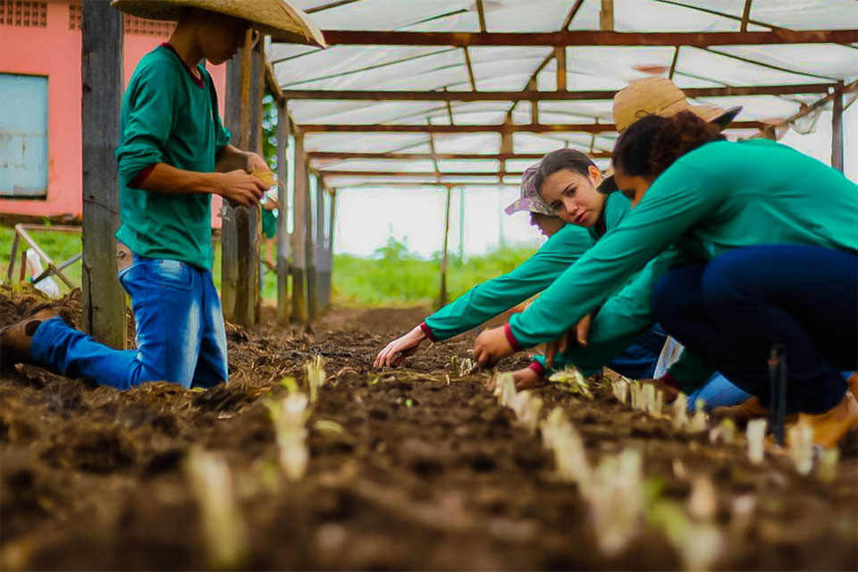 Ieda Chaves propõe estudo para a criação de Escola Família Agrícola em Porto Velho