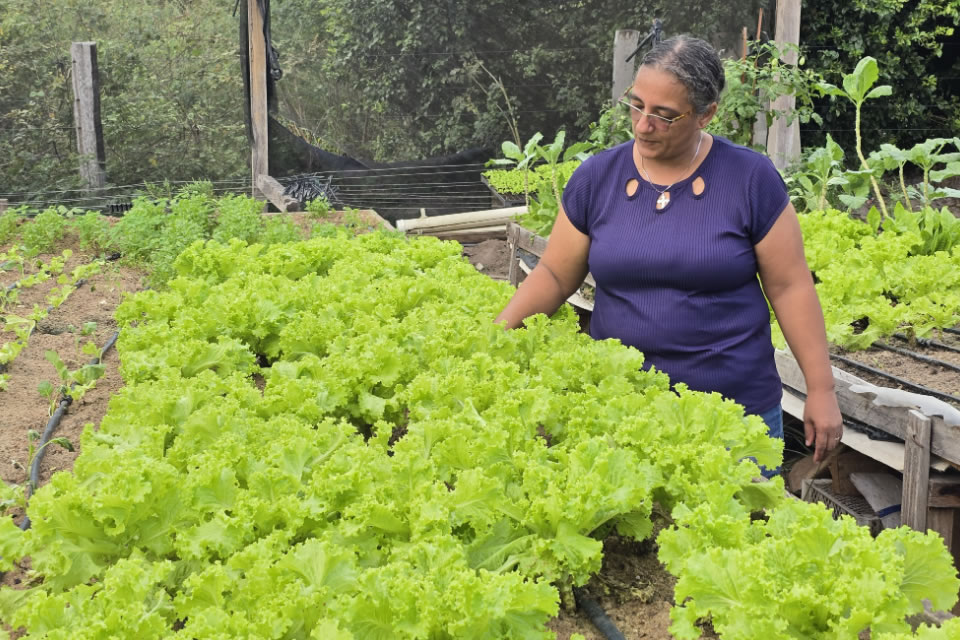 O agro em boas mãos: investimento na agricultura familiar muda realidade de famílias de Costa Marques