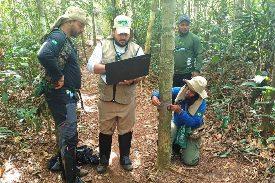 Estratégias de monitoramento do Governo de RO revelam presença de espécie rara em reserva estadual