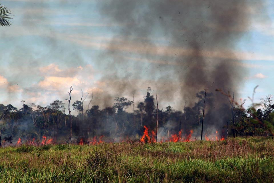 Sedam e CBMRO: Termo de Cooperação estabelece monitoramento e fiscalização de desmatamento e incêndios florestais em Rondônia