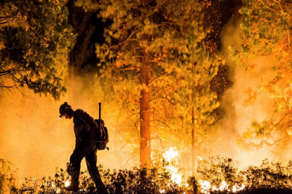 Incêndio florestal atinge Portugal e fere 32 pessoas