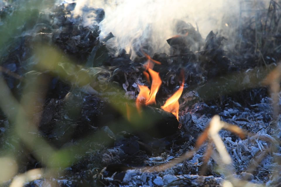 Prefeitura de Porto Velho abre chamamento público para combate a incêndios durante o verão amazônico