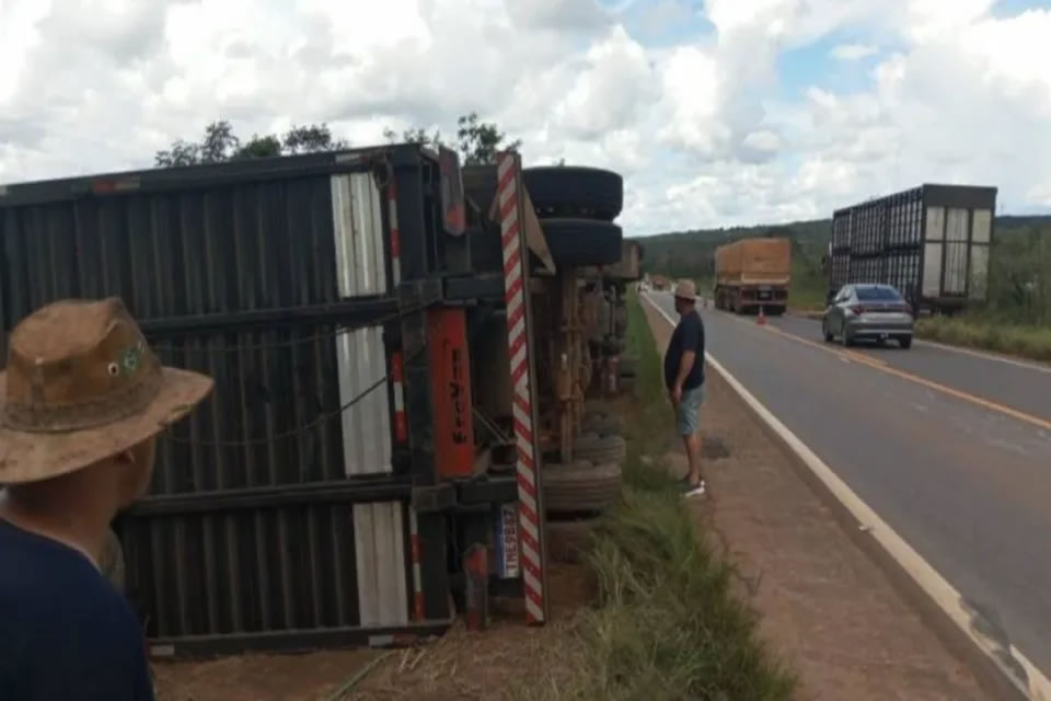 Carreta boiadeira carregada tomba e alguns animais morrem na BR-364