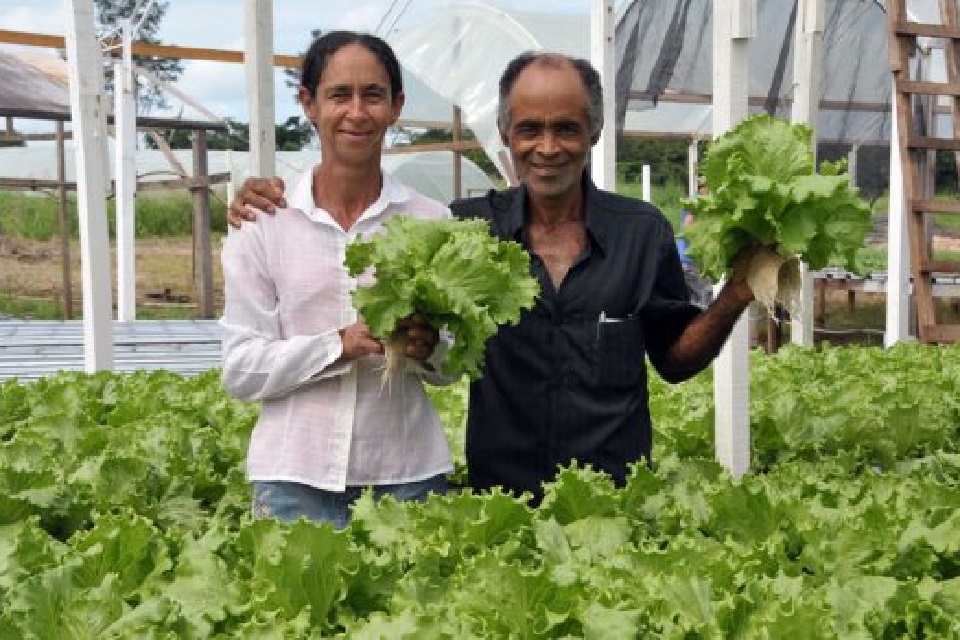 Ministério da Agricultura libera R$ 4 milhõs para investir na assistência técnica e extensão rural de Rondônia