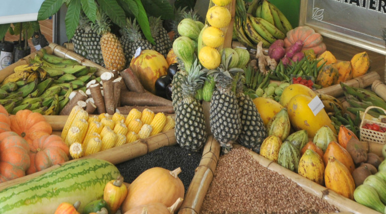 Prefeitura e governo estadual lançam Programa de Aquisição de Alimentos