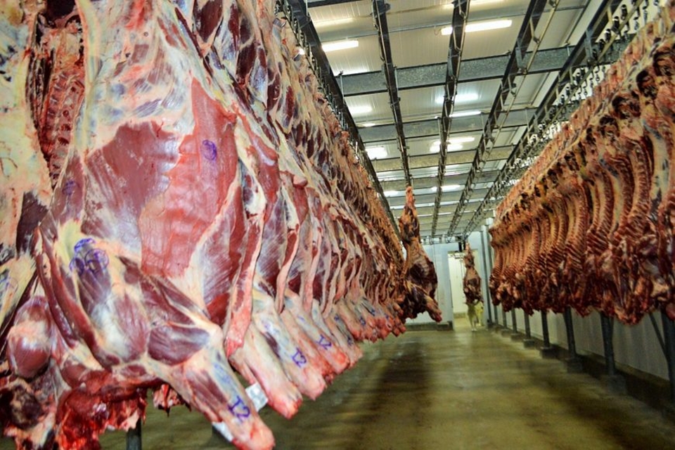 Volume exportado por RO neste ano é de 212,2 milhões de toneladas; carne e soja são destaques