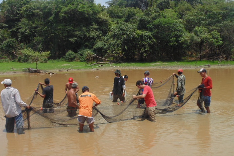 Governo de RO inicia resgate de alevinos de Pirarucu na Resex Lago do Cuniã para minimizar impactos da crise hídrica