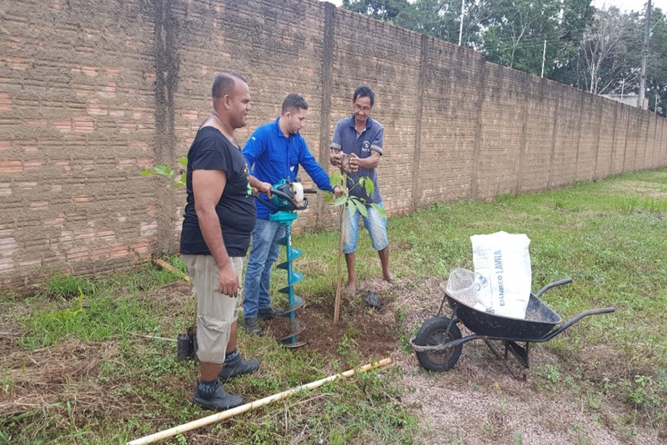 Whats árvore, da Secretaria Municipal de Meio Ambiente, continua ativo