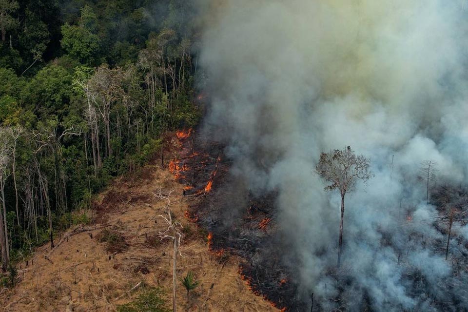 Outubro registra menor índice de queimadas na Amazônia; focos no Pantanal sobem 20 vezes