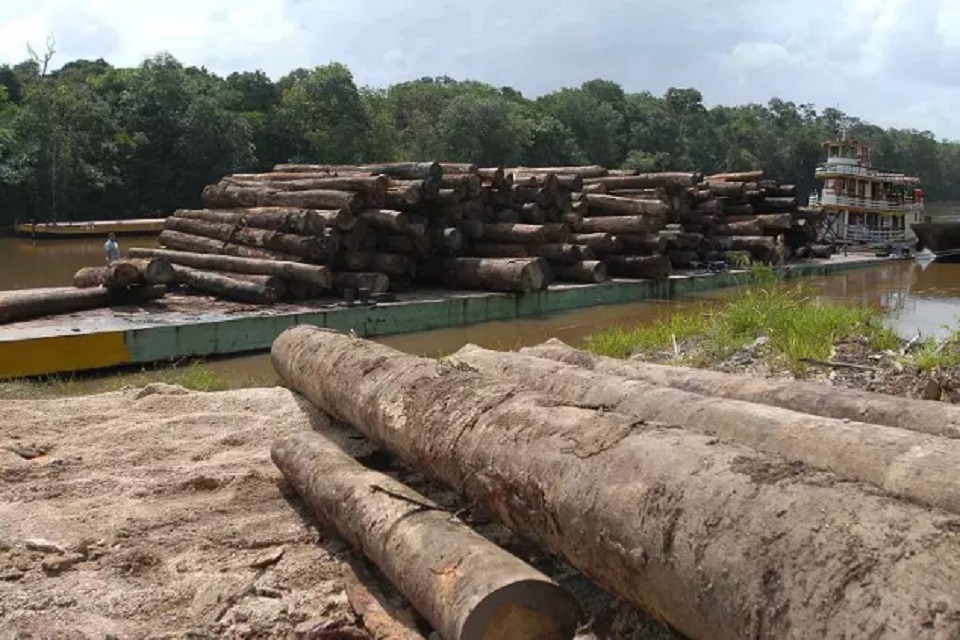 Desmatamento da Amazônia subiu 29,5% entre 1º de agosto do ano passado e 31 de julho deste ano