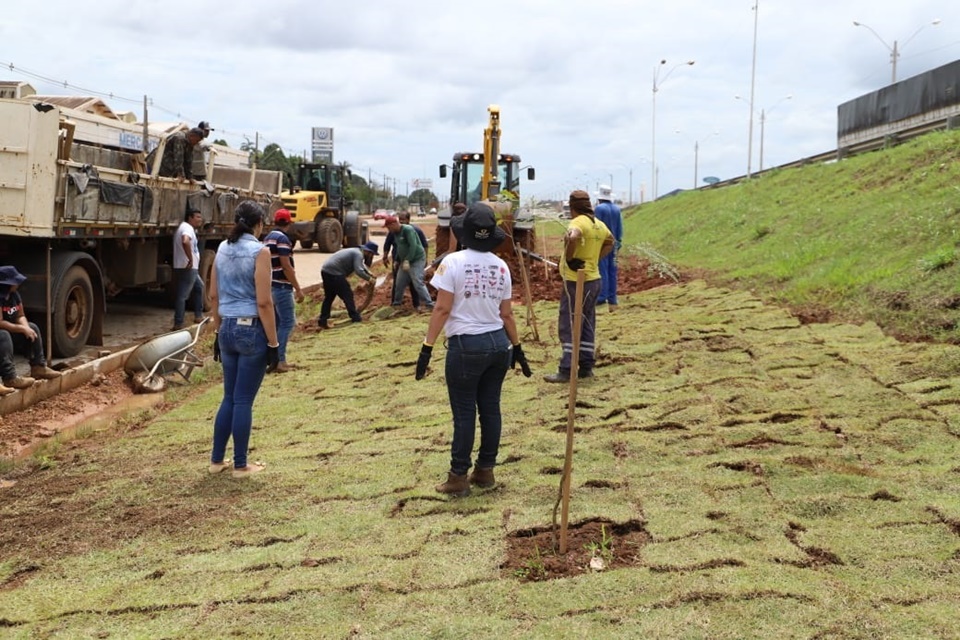 Servidores da Sema fazem mutirão e plantam grama no viaduto da avenida Jatuarana