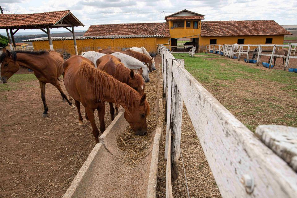 Sistema Faperon destaca os benefícios da nova Lei Geral do Turismo para produtores rurais e o setor agropecuário