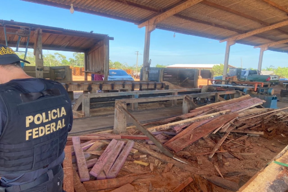 Duas pessoas foram presas, seis empresas madeireiras foram embargadas e dois acampamentos de garimpo foram inutilizados