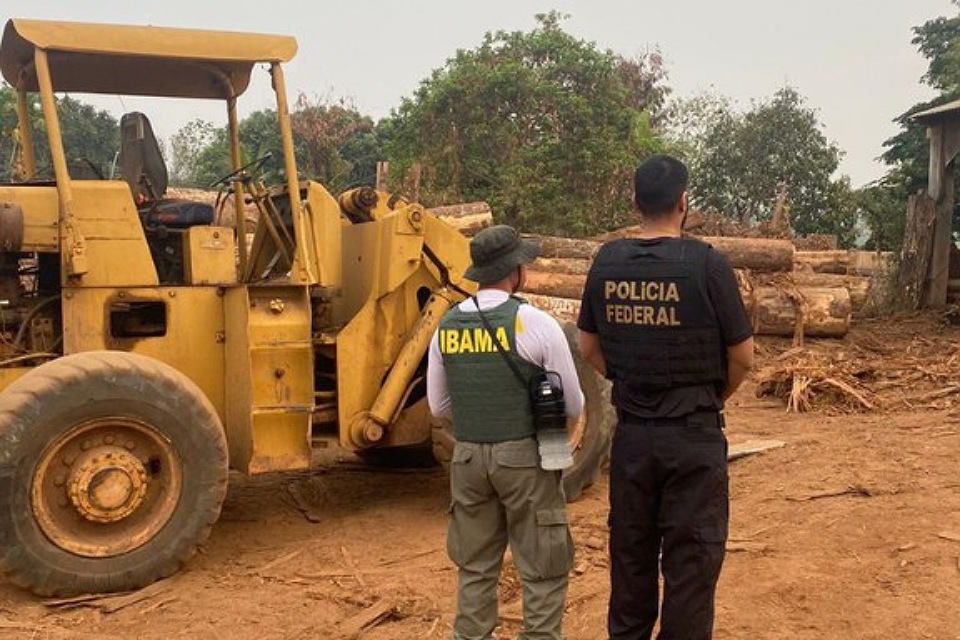 PF deflagra operação contra transporte irregular de madeira em Rondônia