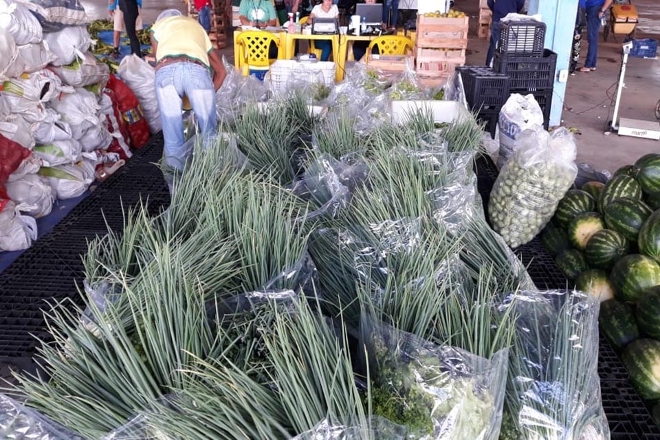PAA entregou 17 mil toneladas de alimentos neste mês de setembro