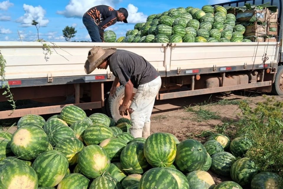 Mais de 136 toneladas de alimentos são transportados pela Prefeitura em apoio aos produtores rurais de Porto Velho