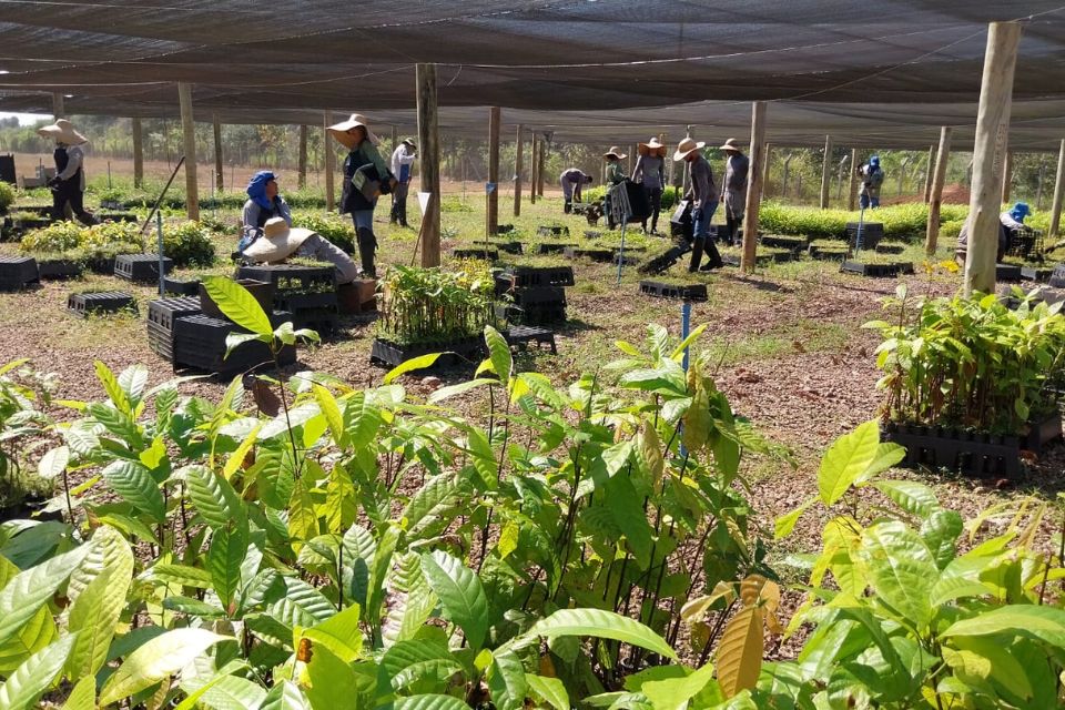 RIOTERRA: 25 ANOS SEMEANDO INOVAÇÕES NA AMAZÔNIA