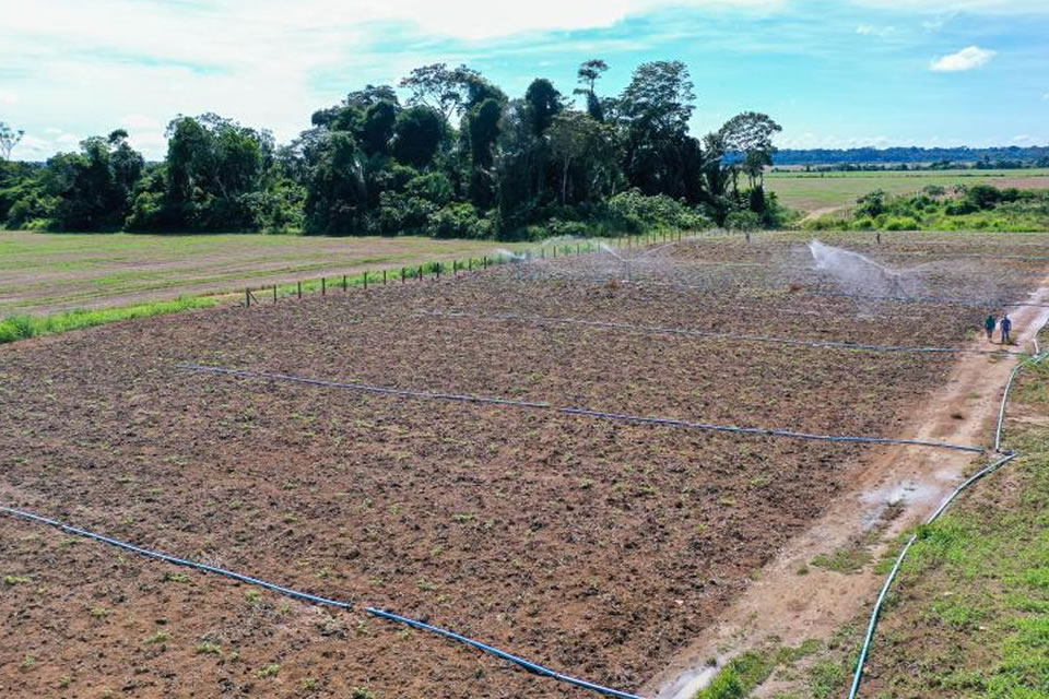 RO é Agro: equipamentos e recuperação de estradas estimulam agricultura no estado