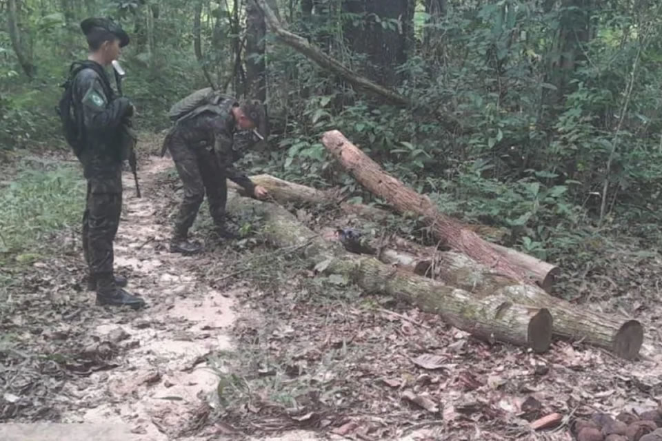 Pelotão Especial de Fronteira realiza operação para combater extração ilegal de madeira