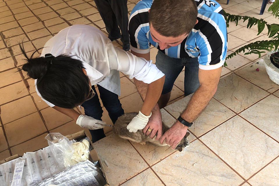 Vacinação antirrábica continua no Centro de Controle de Zoonoses