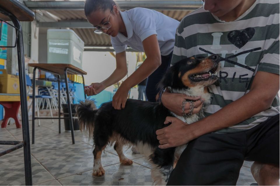 Vacina contra a raiva para cães e gatos continua disponível em Porto Velho