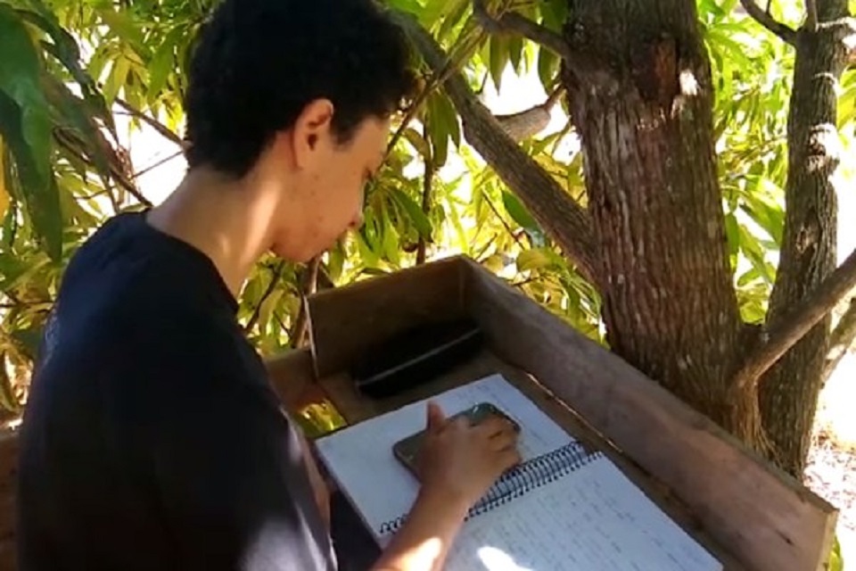 Pais constroem sala de aula no topo de árvore para filhos conseguirem pegar sinal de internet e estudar 