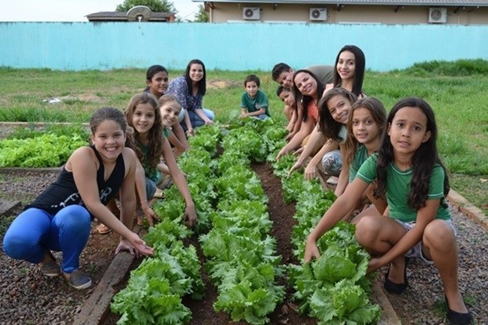 Vilhena inicia estudos para implantação de hortas escolares na rede municipal de ensino