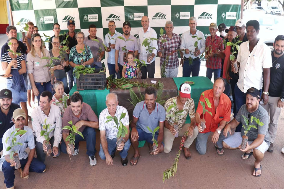 Deputado Ismael Crispin realiza entrega de mudas de Café em São Francisco do Guaporé