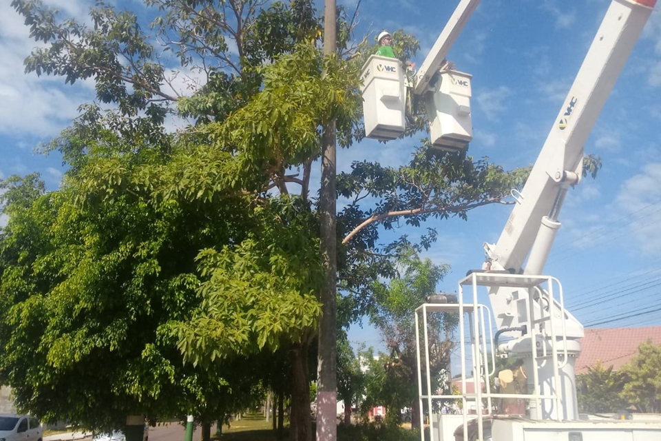 Retirada de espécies que causam alagamentos em Vilhena começa em avenidas da cidade