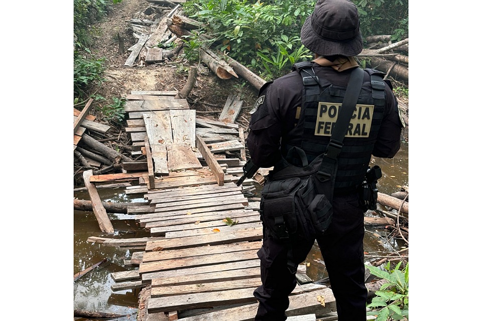 PF reprime queimadas criminosas no Parque Estadual de Guajará-Mirim, RESEX Rio Ouro Preto e Terra Indígena Igarapé Lage