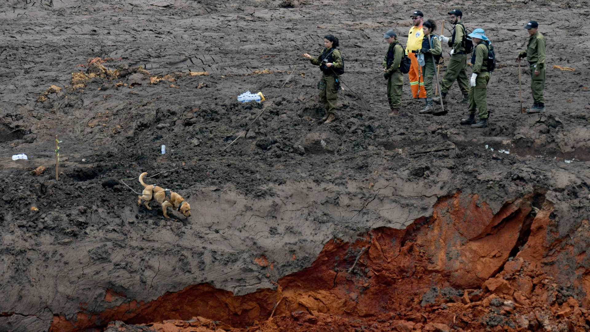 Brumadinho tem 99 mortos; 257 pessoas seguem desaparecidas