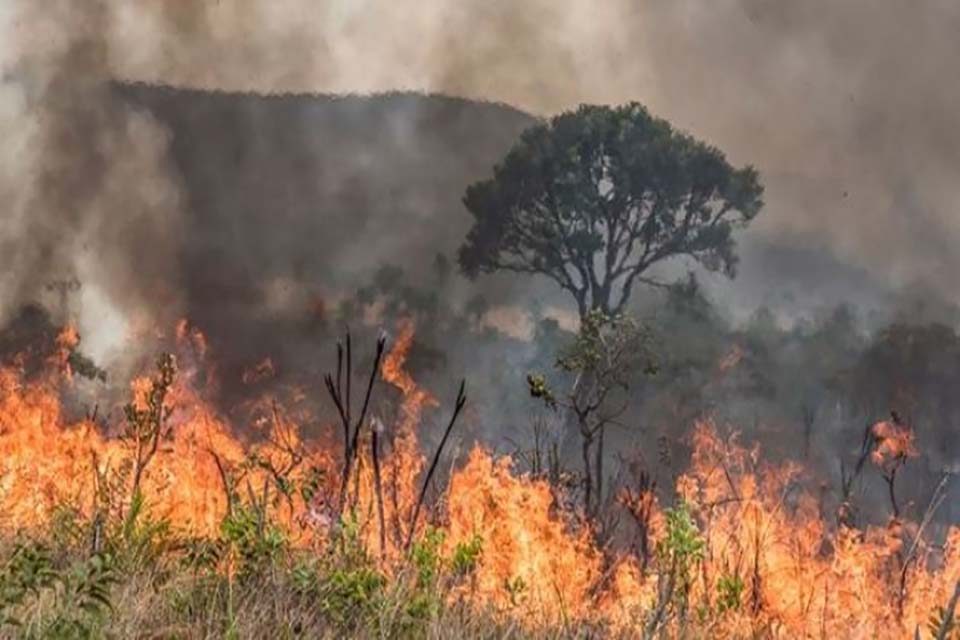 Em Rondônia, número de queimadas subiu 190% em relação ao mesmo período de 2018