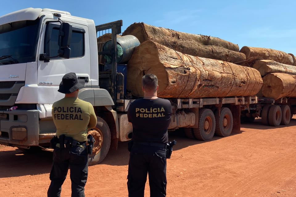 PF RO apreende caminhão com madeira ilegal extraída de Terra Indígena