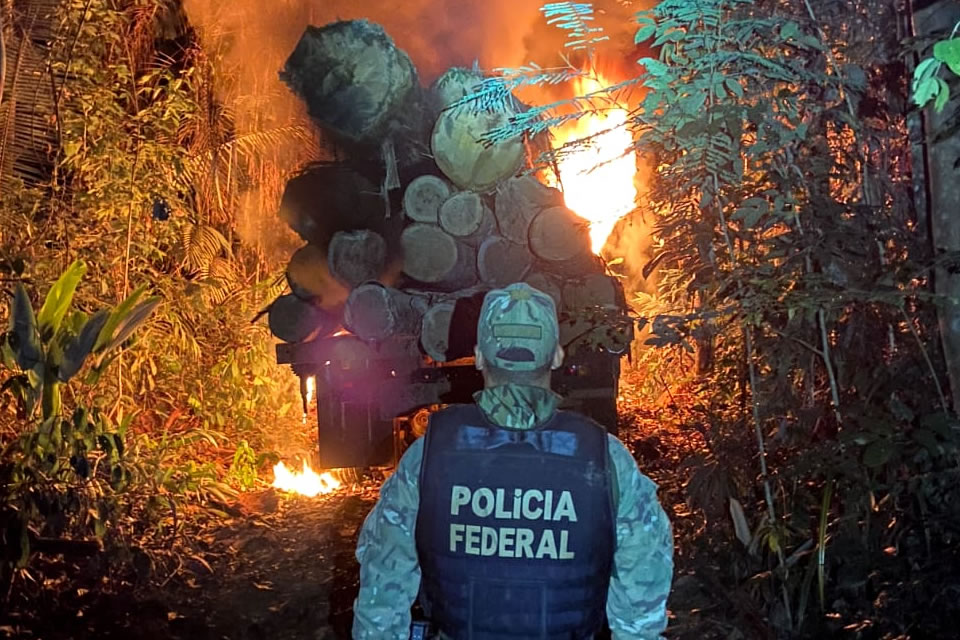 Polícia Federal realiza operação contra desmatamento ilegal em terra indígena