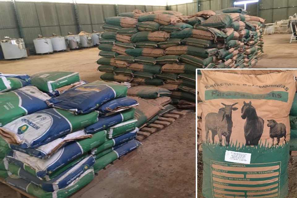 Idaron destrói mais de 400 sacas de sementes ilegais apreendidas na divisa de Rondônia com Mato Grosso