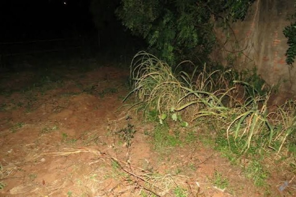 Homem sai de matagal pelado e tenta estuprar mulher em terreno baldio