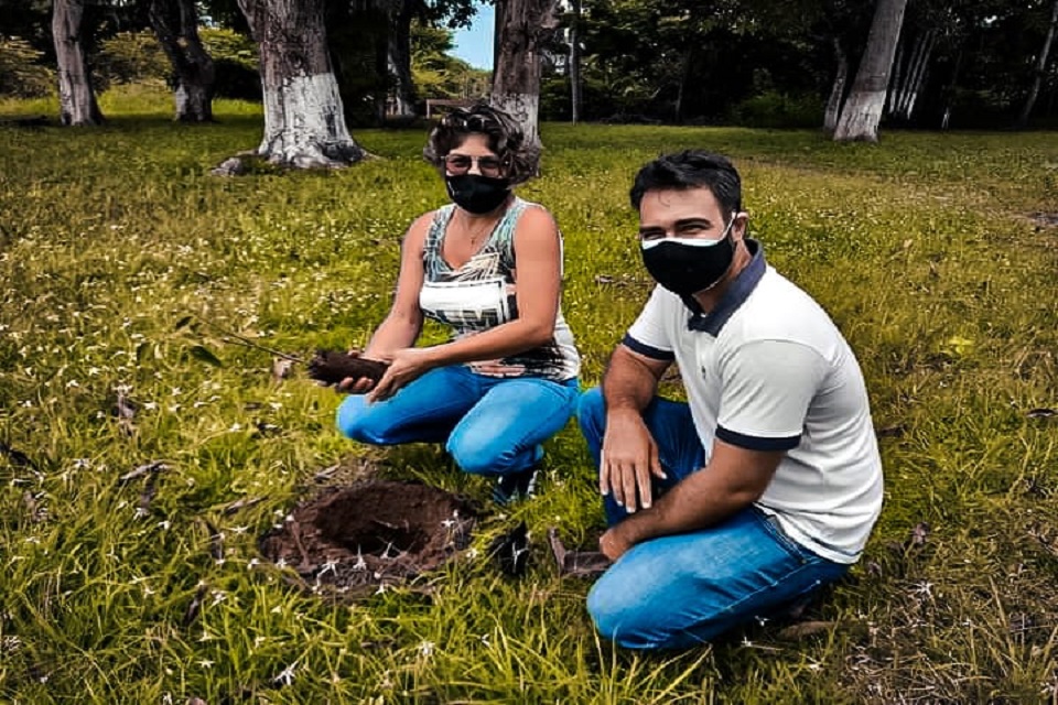 Prefeitura de Porto Velho realiza arborização recorde nos distritos