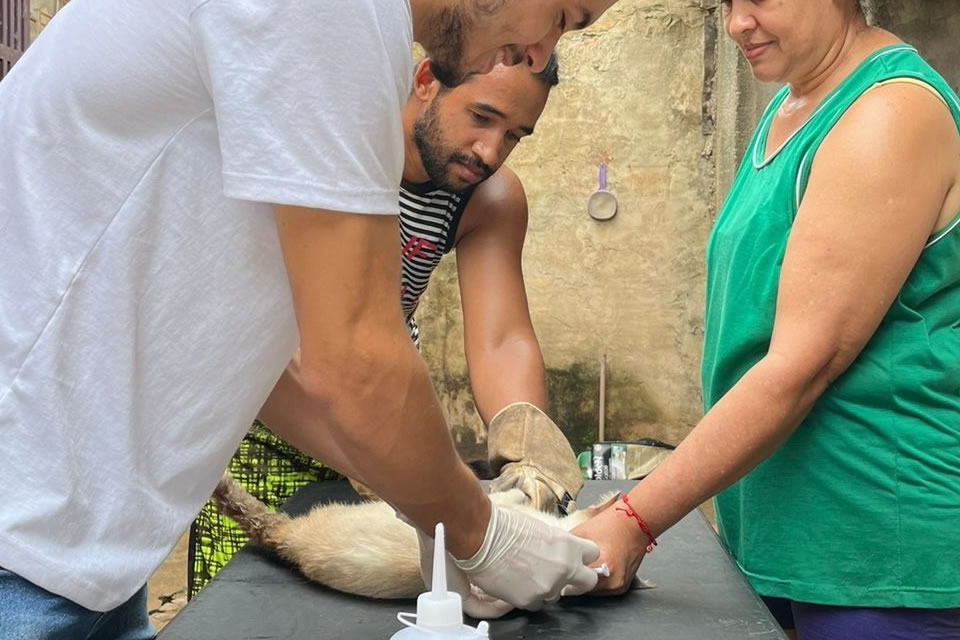 Atendimento veterinário chega aos abrigos de animais em Porto Velho