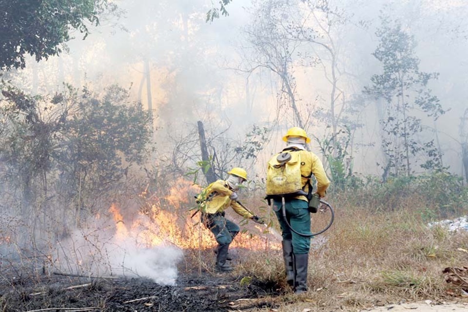 QUEIMADAS: Ministério do Meio Ambiente declara Rondônia como estado de emergência 